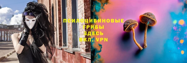 меф Алексин