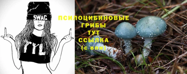 кокаин премиум Алексеевка