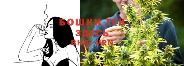 соль ск Алзамай