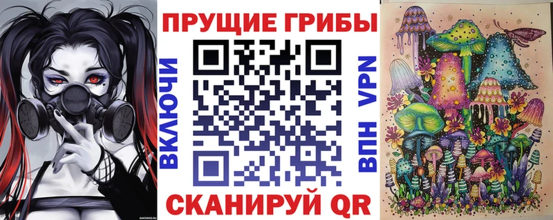 Псилоцибиновые грибы мицелий  Завитинск 